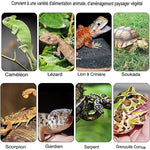 Terrarium Acrylique – Boîte d'Élevage Reptiles Transparent - VIVARIUM PRO