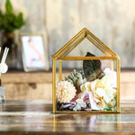 Terrarium Maison Géométrique Doré – Grande Serre Couvercle Basculant - VIVARIUM PRO