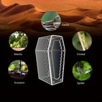 Terrarium Acrylique 360 Degrés