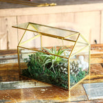 Terrarium Maison Géométrique Doré – Grande Serre Couvercle Basculant - VIVARIUM PRO