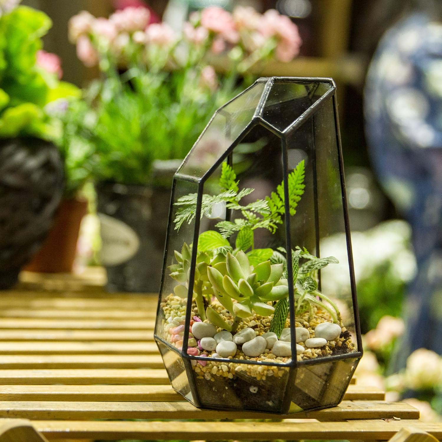 Terrarium Cube Verre Cuivre – Plantes Grasses Moderne - VIVARIUM PRO