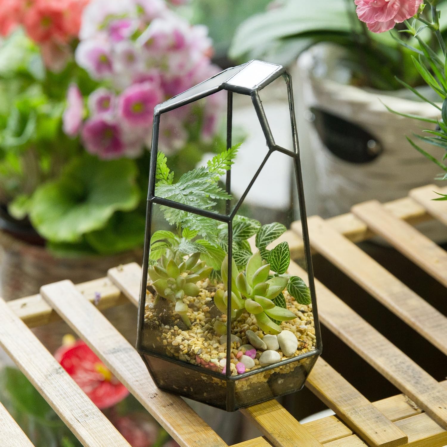 Terrarium Cube Verre Cuivre – Plantes Grasses Moderne - VIVARIUM PRO