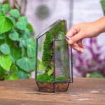 Terrarium Cube Verre Cuivre – Plantes Grasses Design - VIVARIUM PRO