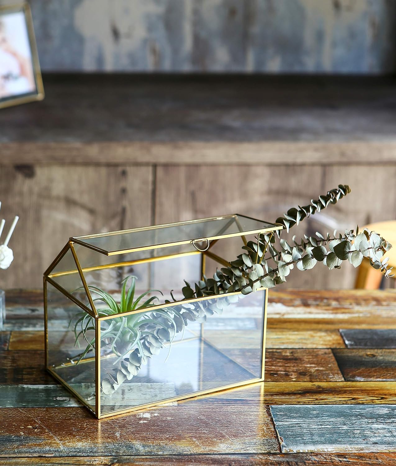 Terrarium Maison Géométrique Doré – Grande Serre Couvercle Basculant - VIVARIUM PRO