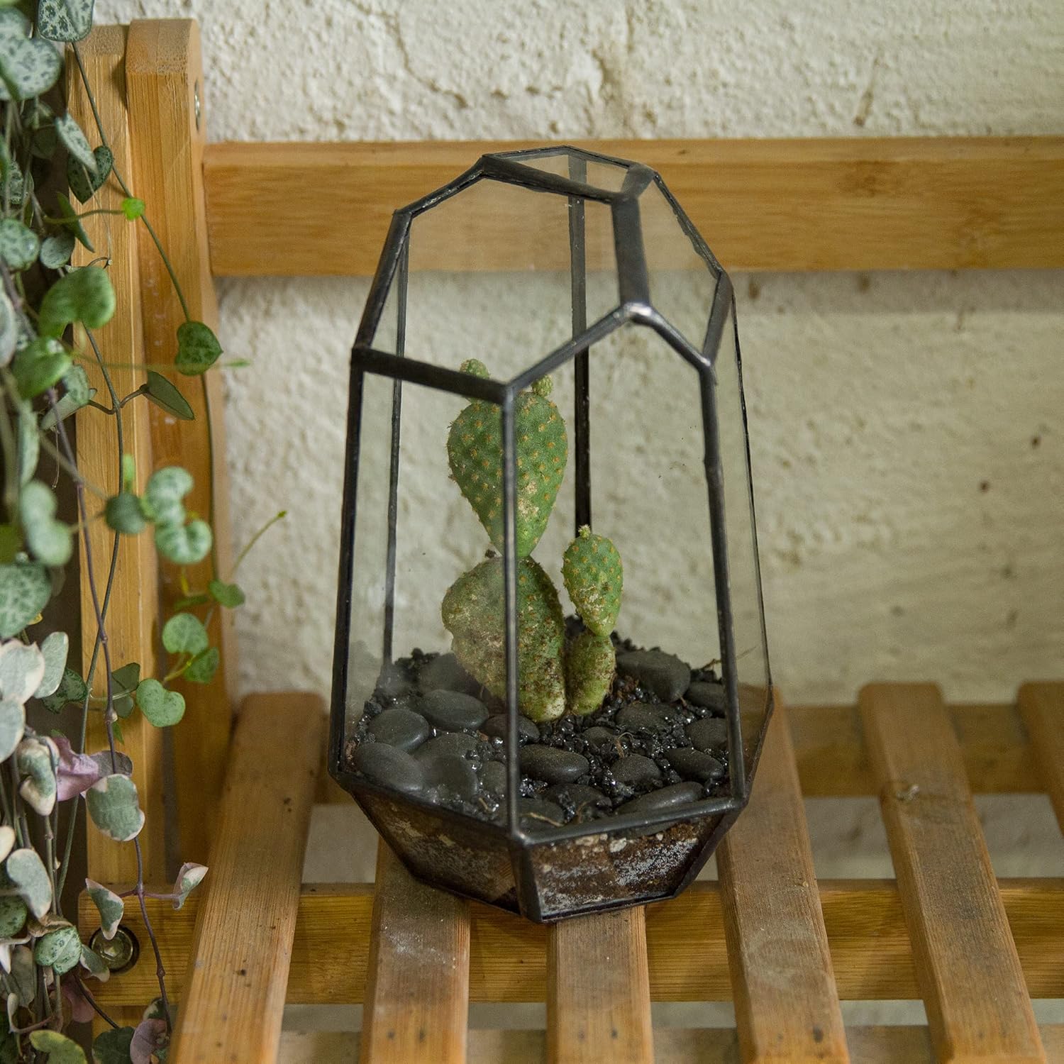 Terrarium Géométrique Prisme – Verre Cuivre Table Plantes - VIVARIUM PRO