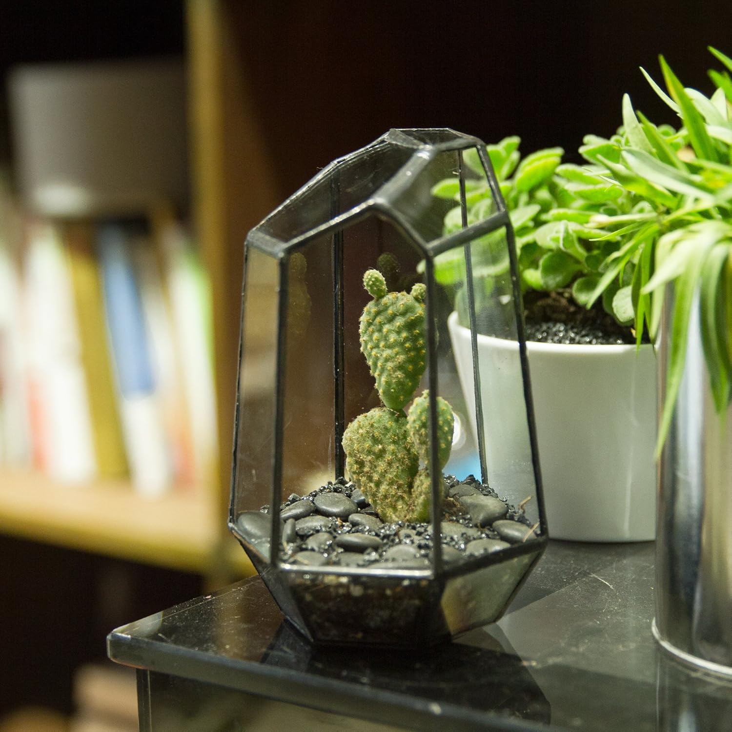 Terrarium Géométrique Prisme – Verre Cuivre Table Plantes - VIVARIUM PRO