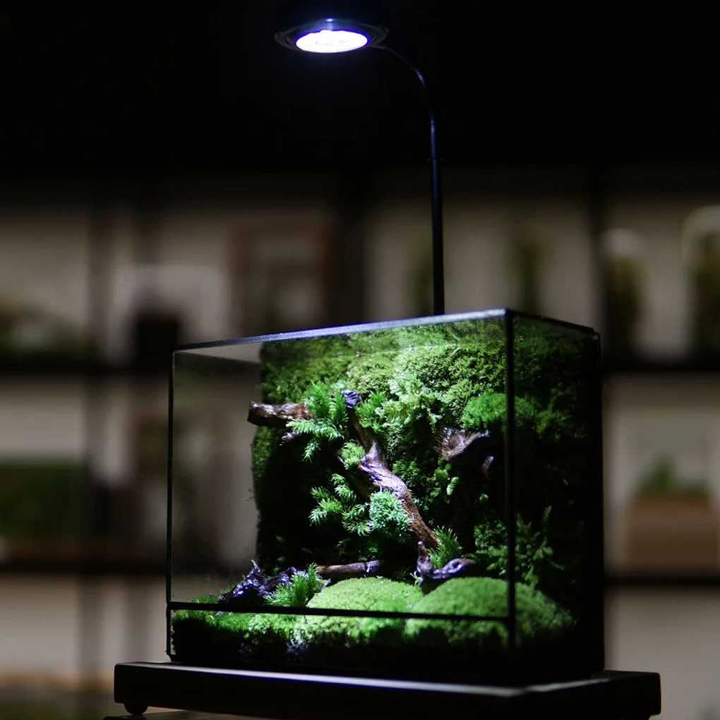 Terrarium Plante Géométrique Verre Métal pour Écosystème Tropical - VIVARIUM PRO