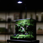 Terrarium Plante Géométrique Verre Métal pour Écosystème Tropical - VIVARIUM PRO