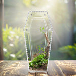Terrarium Acrylique 360 Degrés