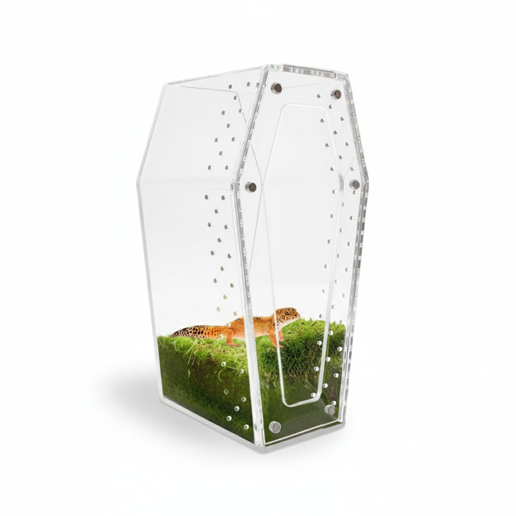 Terrarium Acrylique 360 Degrés