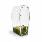 Terrarium Acrylique 360 Degrés