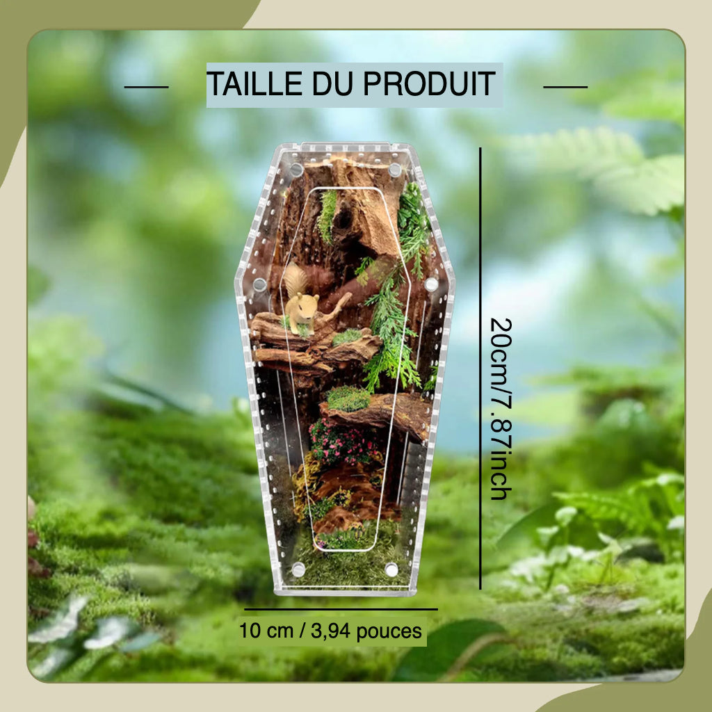 Terrarium Acrylique 360 Degrés