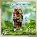 Terrarium Acrylique 360 Degrés