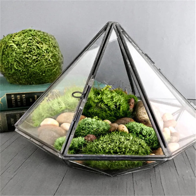 Terrarium Plante Géométrique Diamant Verre Cadre Noir