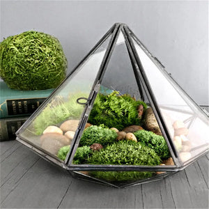 Terrarium Plante Géométrique Diamant Verre Cadre Noir
