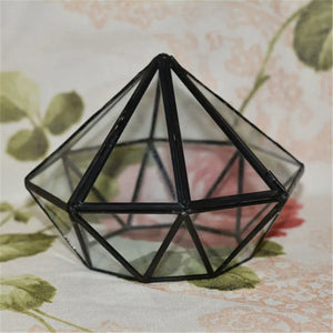 Terrarium Plante Géométrique Diamant Verre Cadre Noir