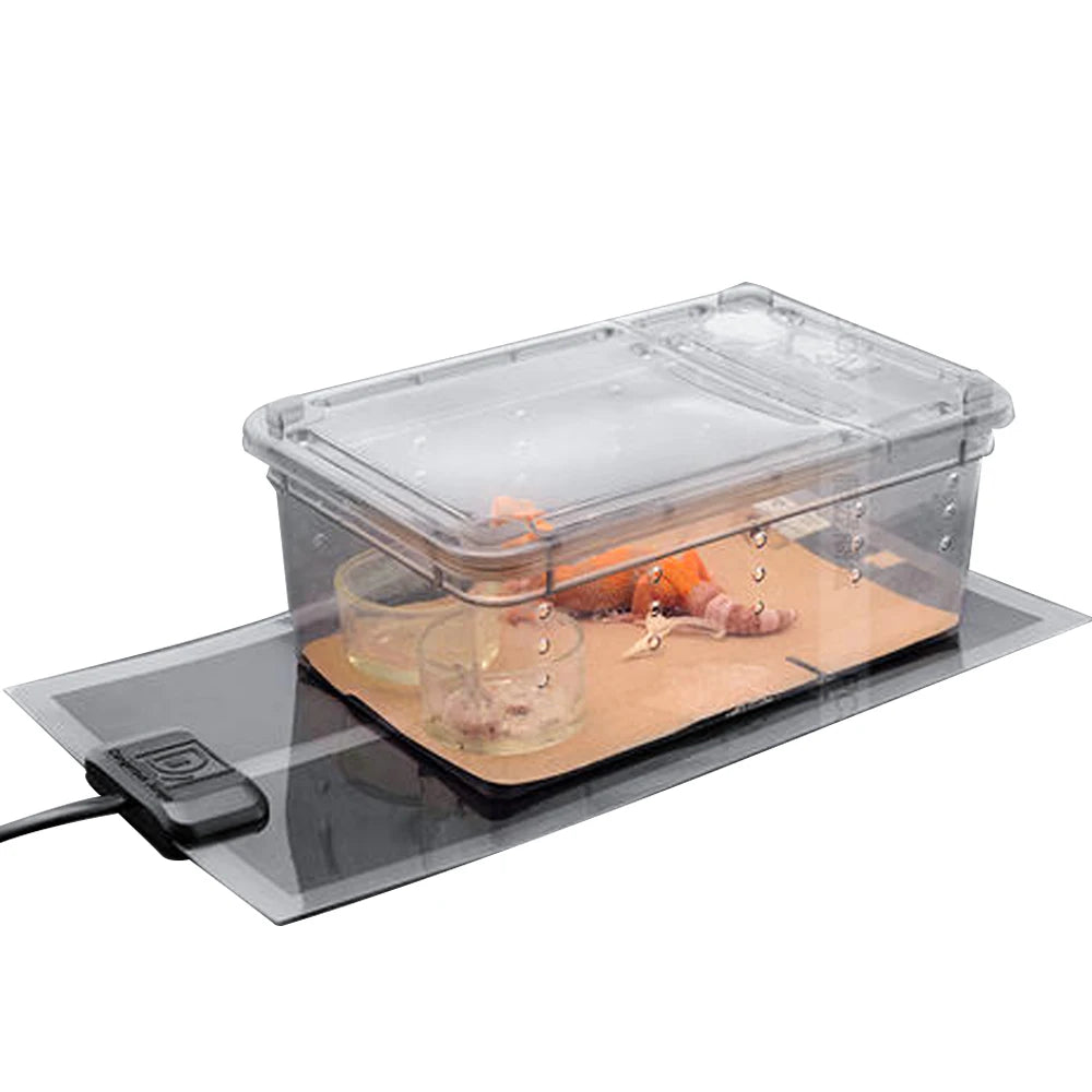 Tapis Chauffant Terrarium – Thermostat Intégré Infrarouge Reptiles
