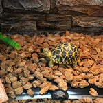 Tapis Chauffant Terrarium – Chauffage Électrique Reptiles