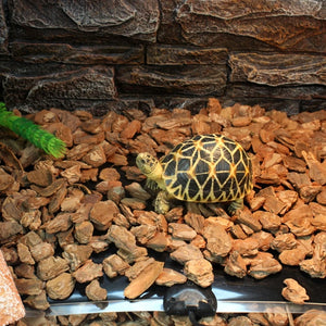Tapis Chauffant Terrarium – Chauffage Électrique Reptiles