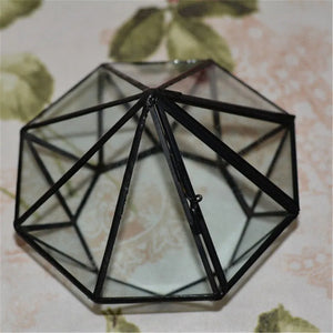 Terrarium Plante Géométrique Diamant Verre Cadre Noir