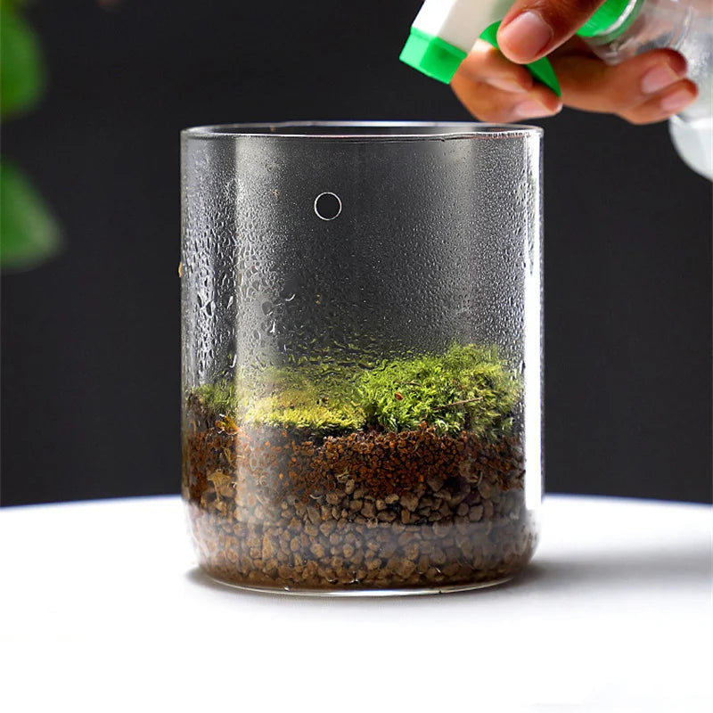 Terrarium Plante en Verre avec Couvercle Anti-Condensation