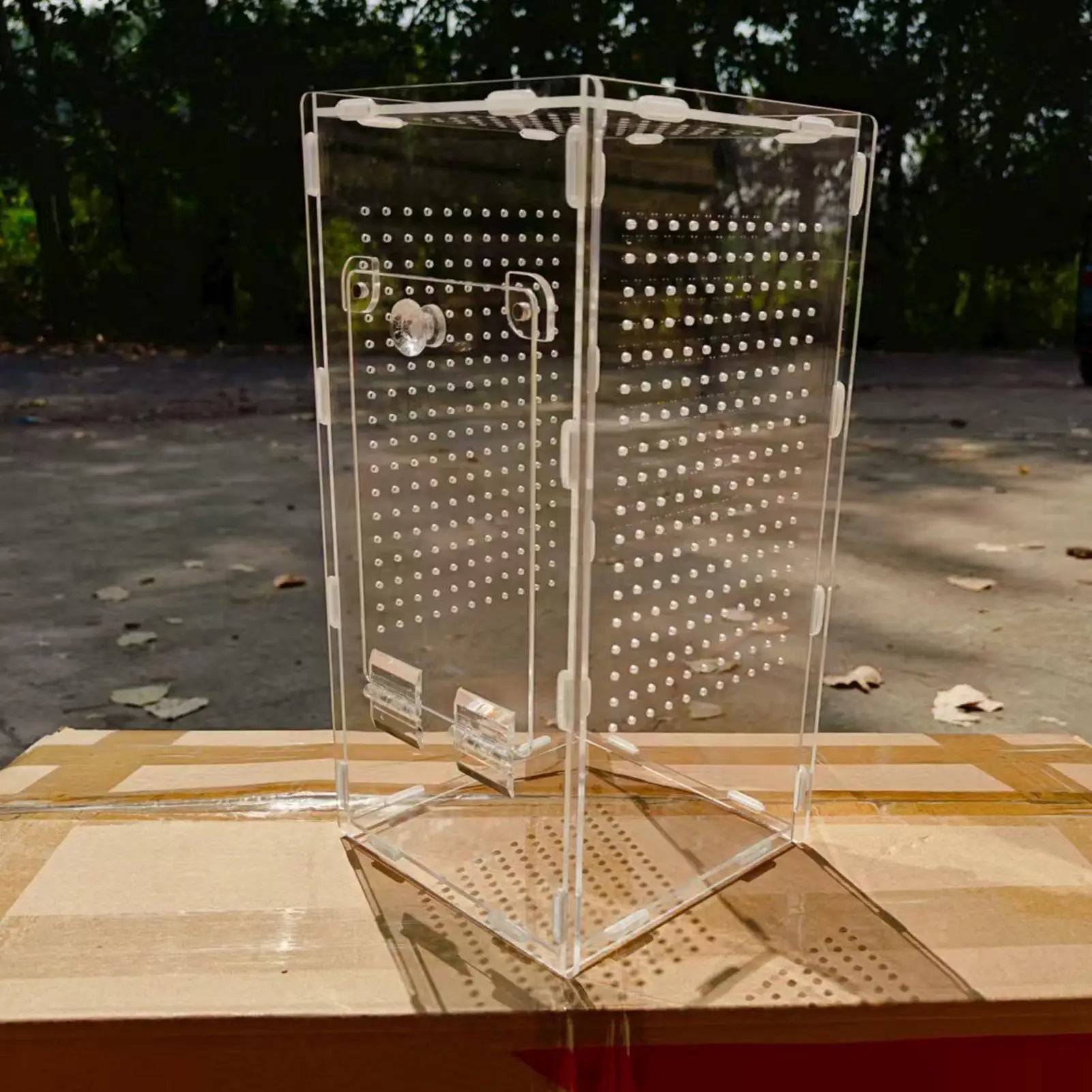 Terrarium Acrylique 360 Degrés