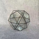 Terrarium Plante Géométrique en Verre Design Moderne