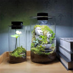 Lampe LED Croissance Spectre Complet pour Terrarium Plante