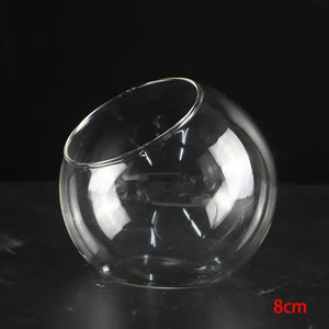 Vase Boules de Verre Borosilicate – Terrarium Moderne Bouche Ouverte - VIVARIUM PRO