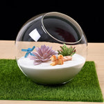 Terrarium Plante - Boules de Verre Borosilicate Transparent
