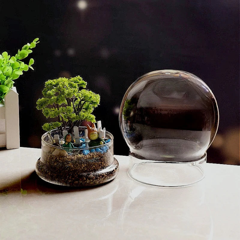 Terrarium Plante Sphérique Divisible Verre Borosilicate - VIVARIUM PRO