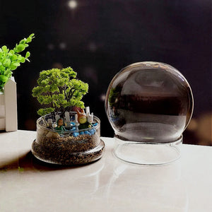 Terrarium Plante Sphérique Divisible Verre Borosilicate - VIVARIUM PRO