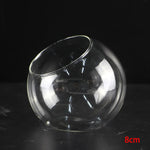 Terrarium Plante - Boules de Verre Borosilicate Transparent