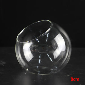 Terrarium Plante - Boules de Verre Borosilicate Transparent