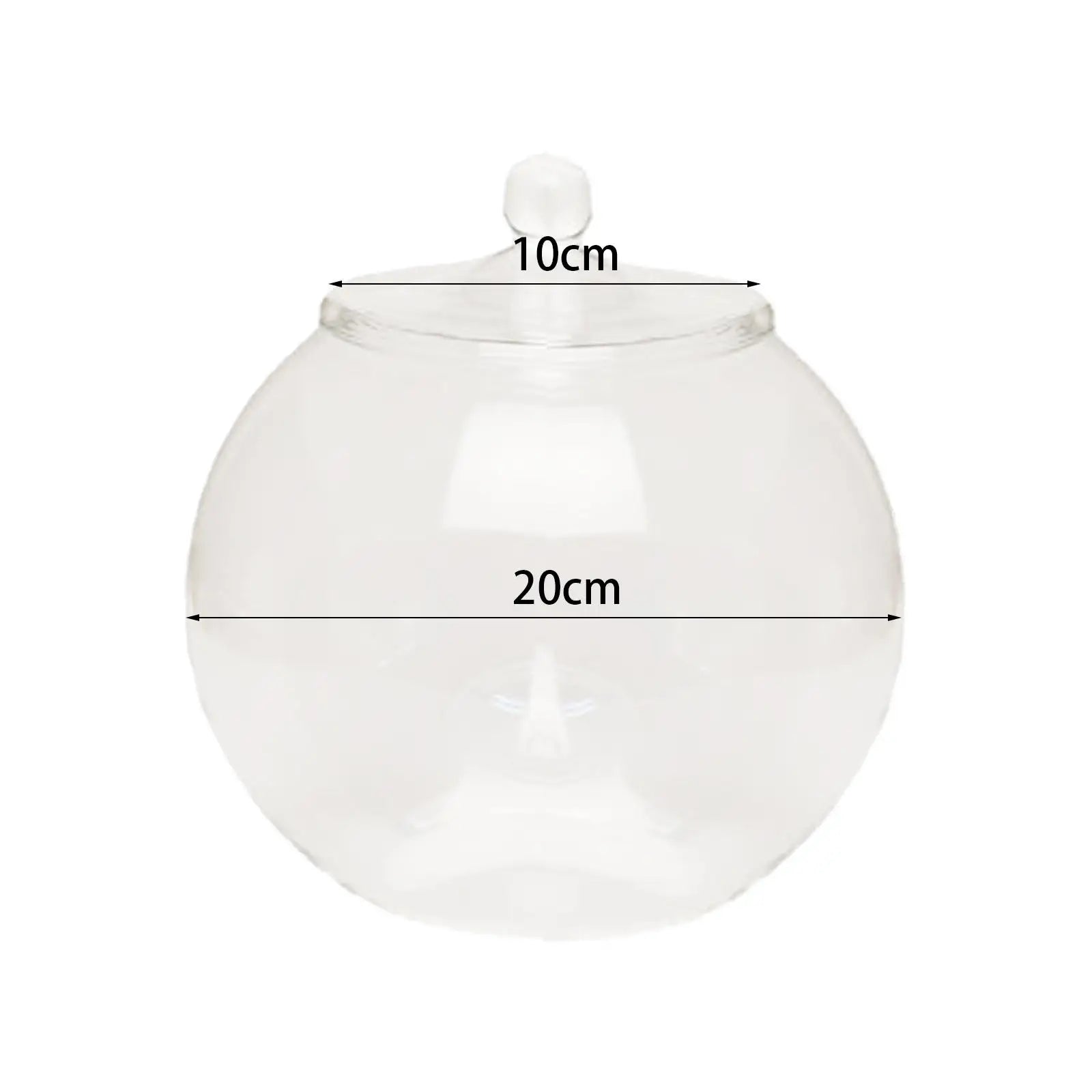 Terrarium Plante en Verre avec Couvercle Hermétique