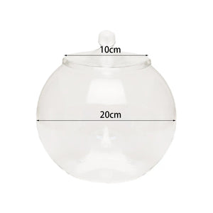 Terrarium Plante en Verre avec Couvercle Hermétique