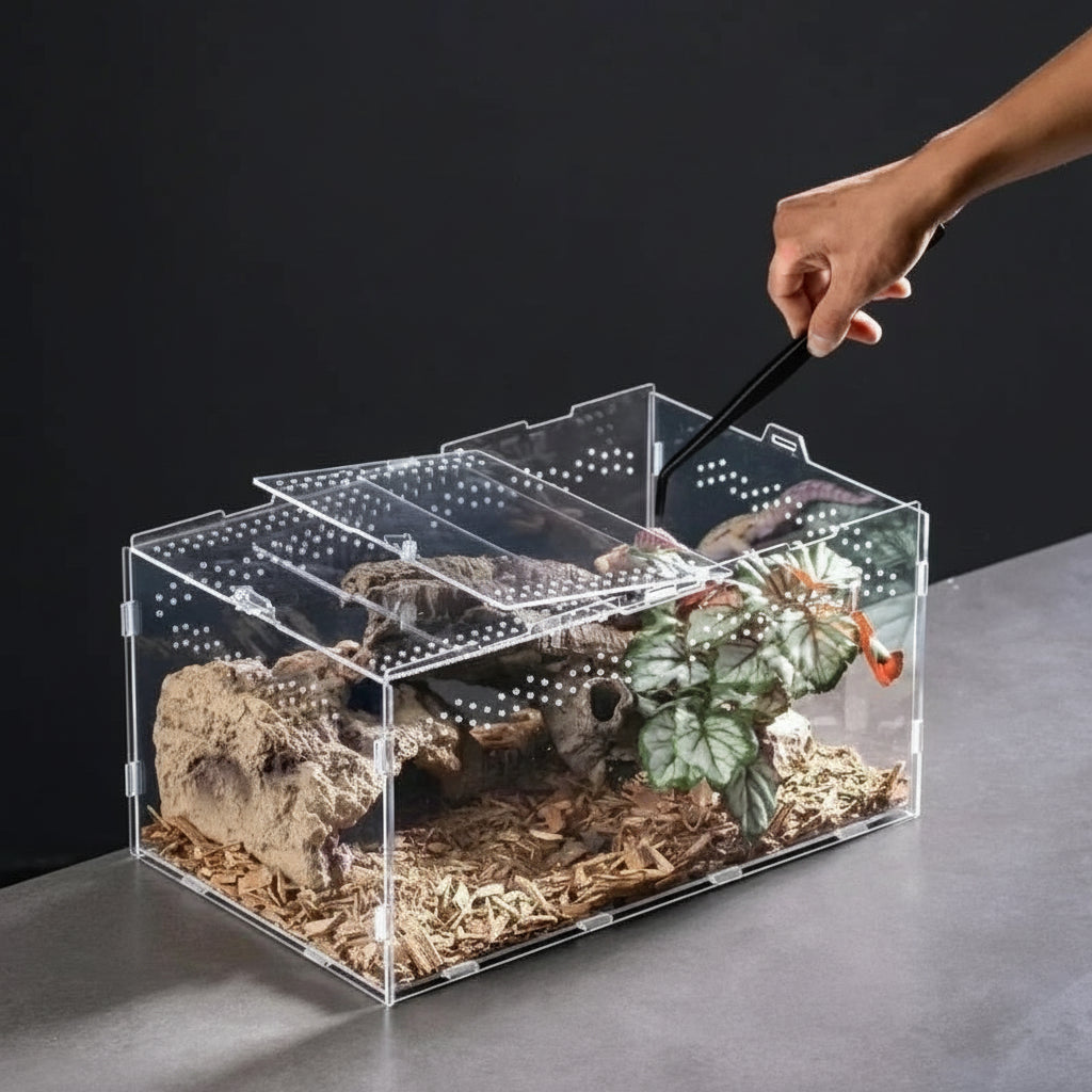 Terrarium Acrylique – Boîte d'Élevage Reptiles Transparent