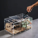 Terrarium Acrylique – Boîte d'Élevage Reptiles Transparent