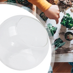 Terrarium Plante - Boules de Verre Borosilicate Transparent