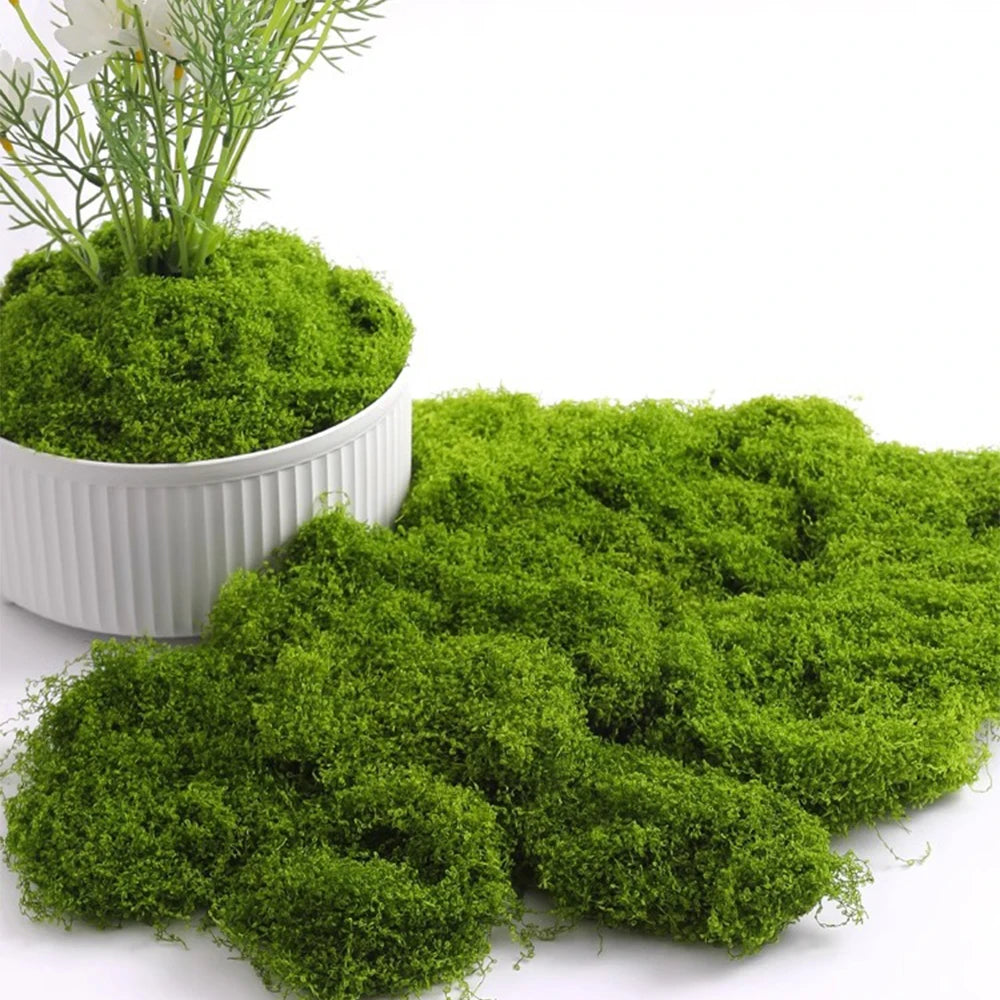 Mousse Artificielle pour Terrarium Plante et Décoration Réaliste