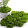 Mousse Artificielle pour Terrarium Plante et Décoration Réaliste