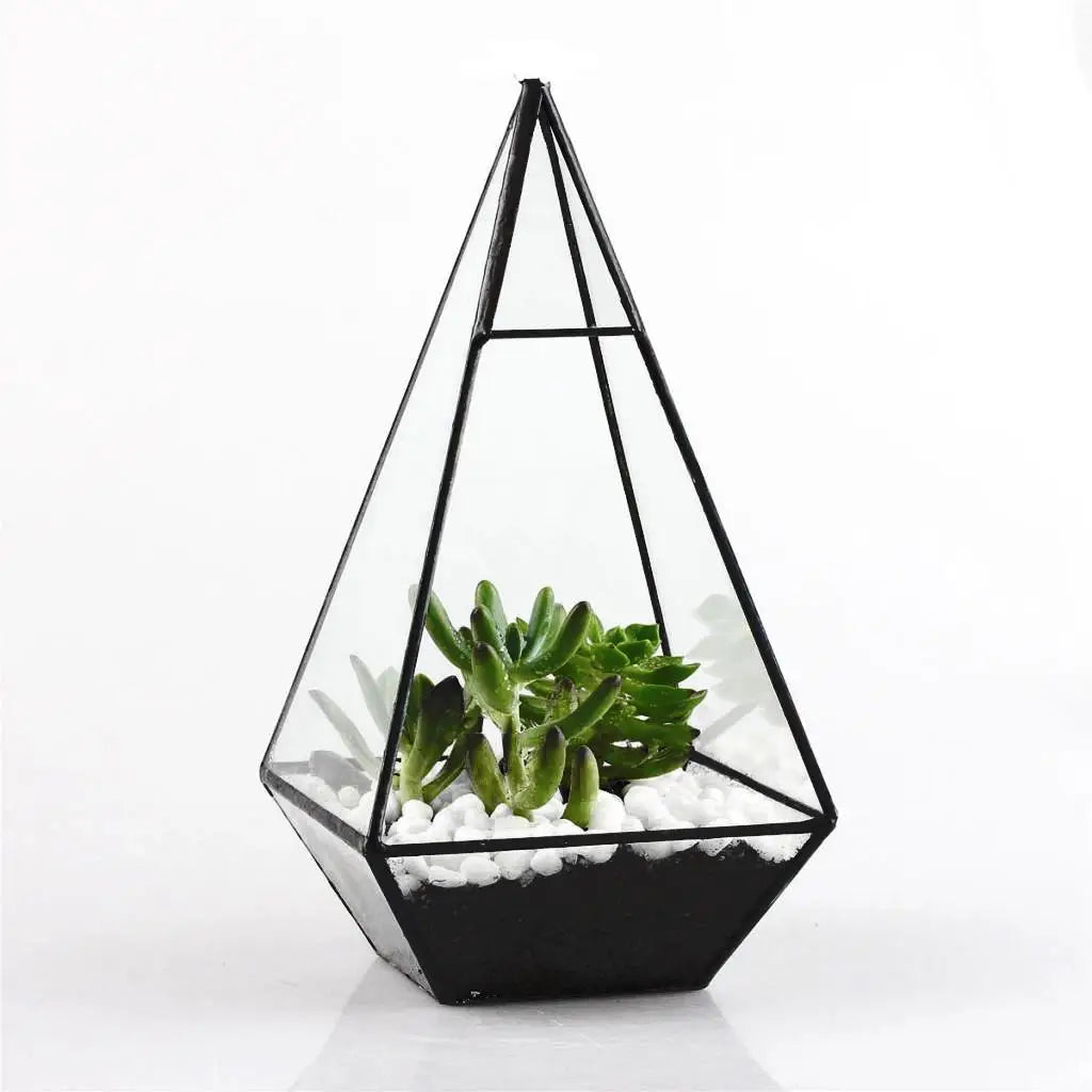 Terrarium Plante Géométrique Vertical Verre et Métal Design - VIVARIUM PRO