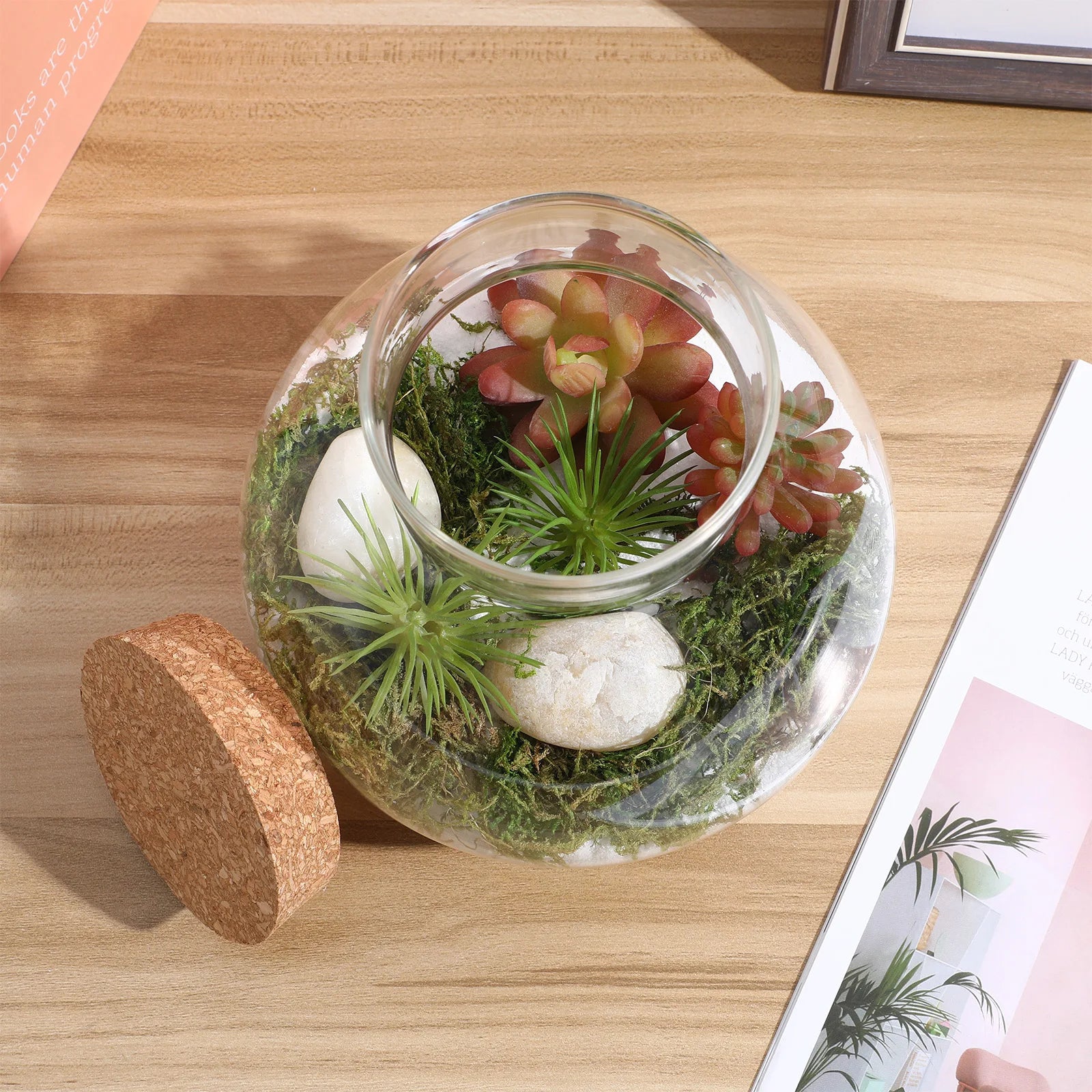 Terrarium Plante DIY en Verre avec Bouchon Liège