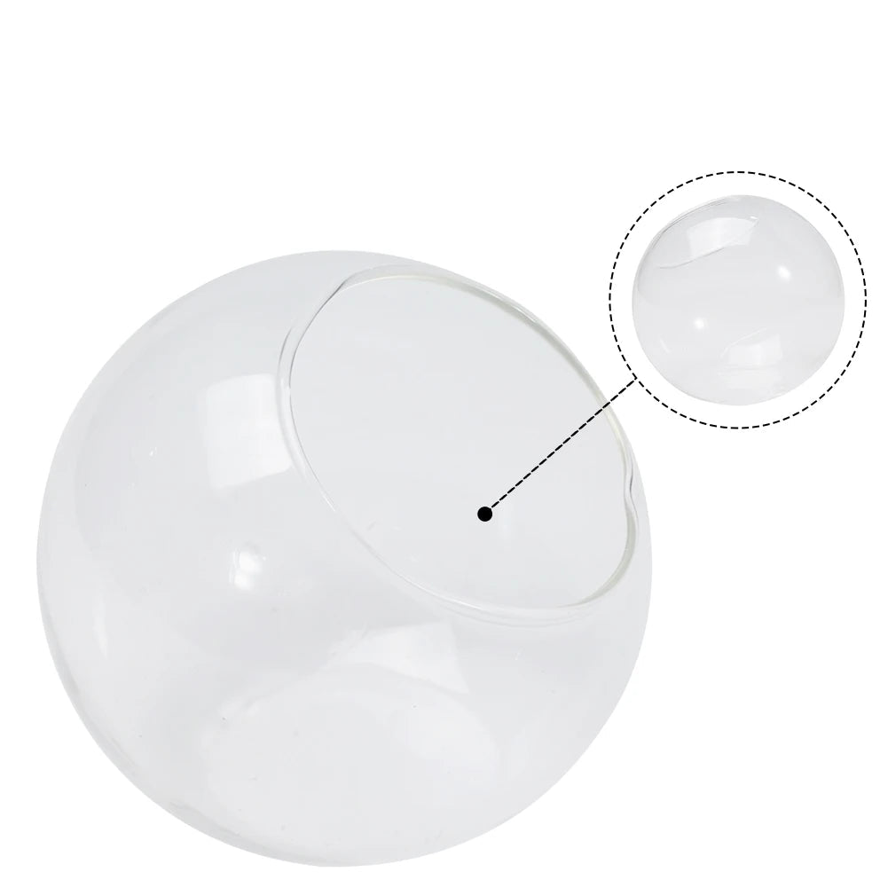 Terrarium Plante - Boules de Verre Borosilicate Transparent