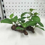 Plante Terrarium Herbe Artificielle