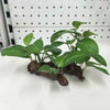 Plante Terrarium Herbe Artificielle