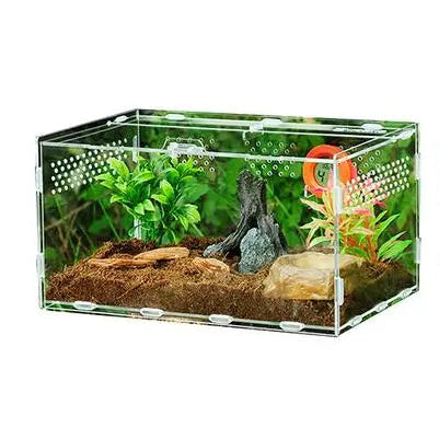 Terrarium Acrylique Transparent pour Reptiles