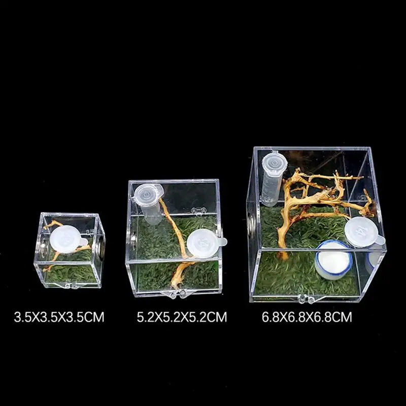 Kit Complet Boîte d'Élevage Reptiles Acrylique
