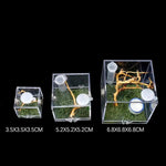 Kit Complet Boîte d'Élevage Reptiles Acrylique