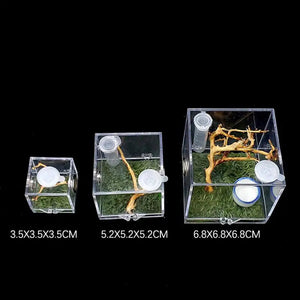 Kit Complet Boîte d'Élevage Reptiles Acrylique